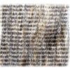 Grizzly Hair for Fly Tying