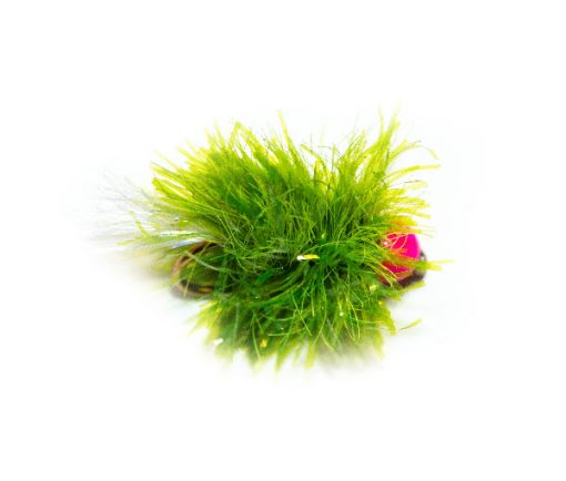 Pink Hot Head Green Blob Fishing Fly. Fishing Flies Online