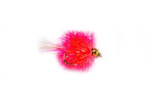 Pink Goldhead Blob Trout Fly