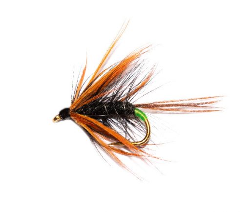 Black Dabbler - Image 2