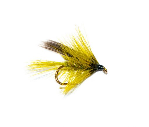 Hatching Golden Olive Wet Flies
