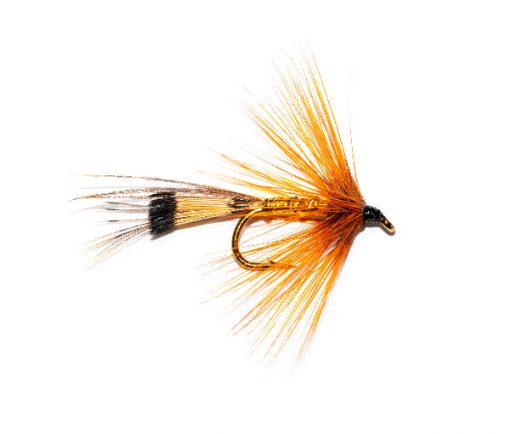 Golden Connemara Wet Fly