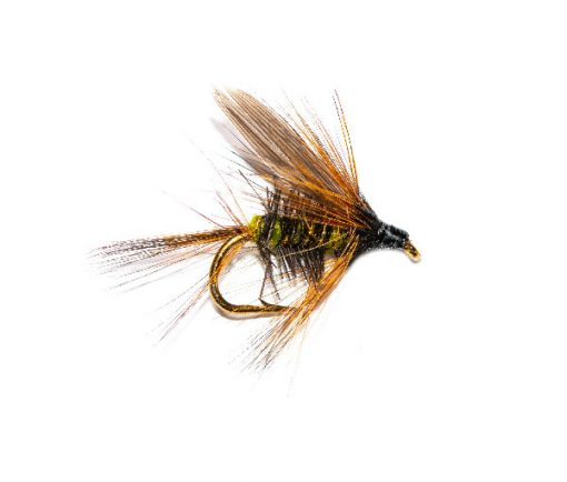 Fishing Flies Hatching Greenwells Olive