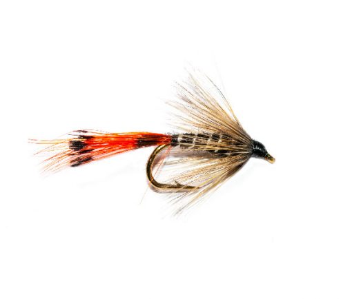 New Yorkie Wet Fly