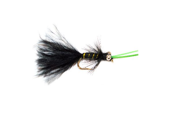 Fishing Flies Shop, Kicking Black Cat