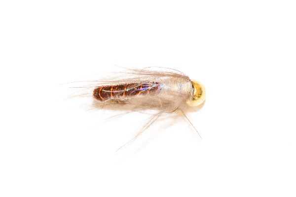 Pheasant UV Pearly Emerger