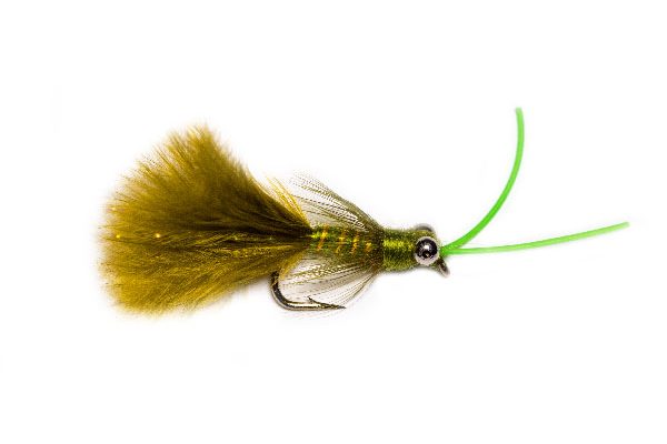 Fish Fishing Flies Kicking Olive Killer Nymph