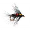 Fish Fishing Flies Bibio Biot Wet Fly