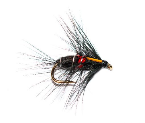 Fish Fishing Flies Bibio Biot Wet Fly