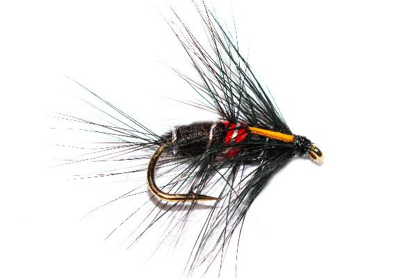 Fish Fishing Flies Bibio Biot Wet Fly