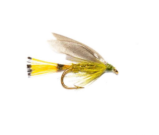 Blue Wing Sooty Olive Wet Fly