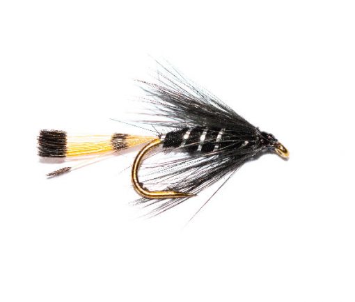 Fish Fishing Flies, Broad Rib Black Pennell