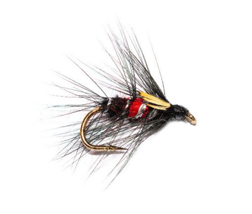 JC Bibio Fishing Fly