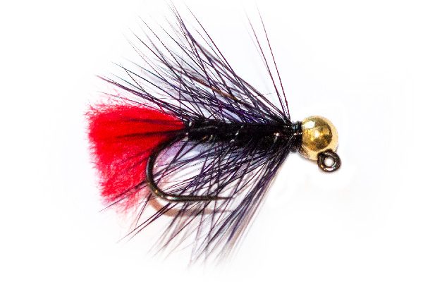 Gold Tungsten Head Black Zulu Jig Nymph