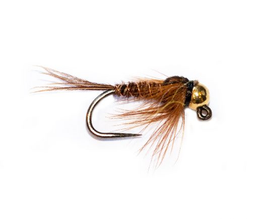 Tungsten Gold Pheasant Spider Jig Nymph Top Trout Fly