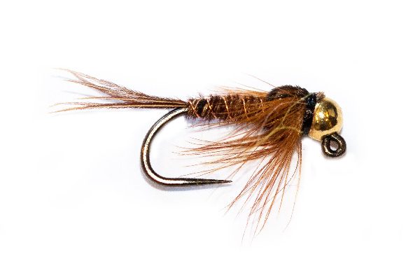 Tungsten Gold Pheasant Spider Jig Nymph Top Trout Fly