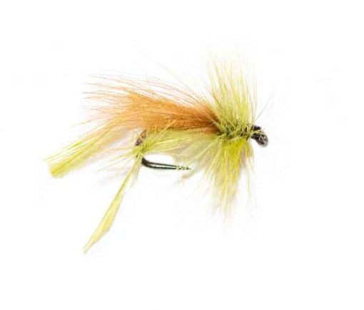 Fish Fishing Flies Lancasters Olive Dung Fly CDC