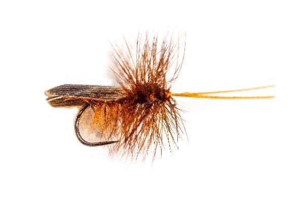 Sedge Type Dry Flies