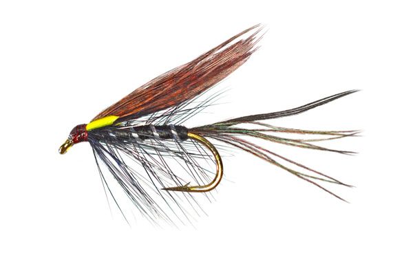 Black Biot Dabbler Special Wet Fly