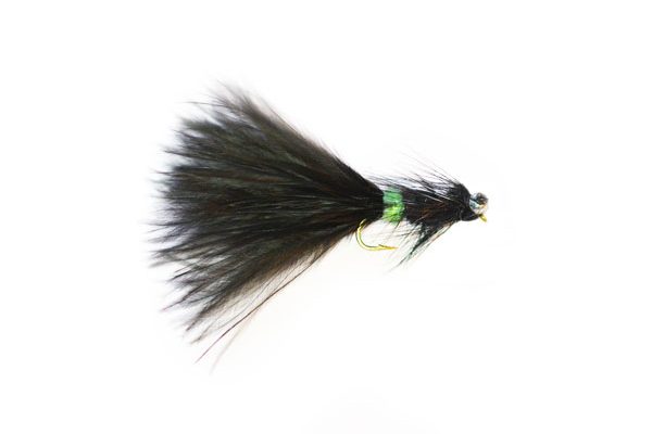 Bead Chain Eye Black and Green Tadpole