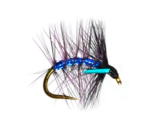 Blue Bottle Snatcher Trout Fishery Loch Flies