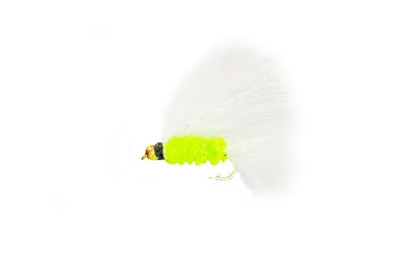 Goldhead Cats Whiskers Top Wing