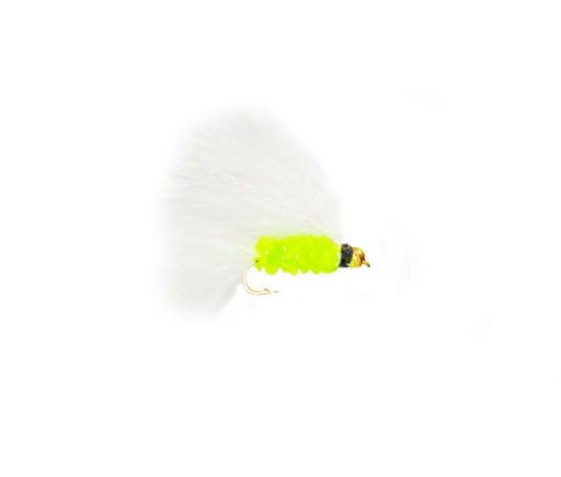 Goldhead Cats Whiskers Top Wing