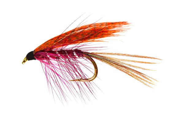 Claret Dabbler Special Wet Fly