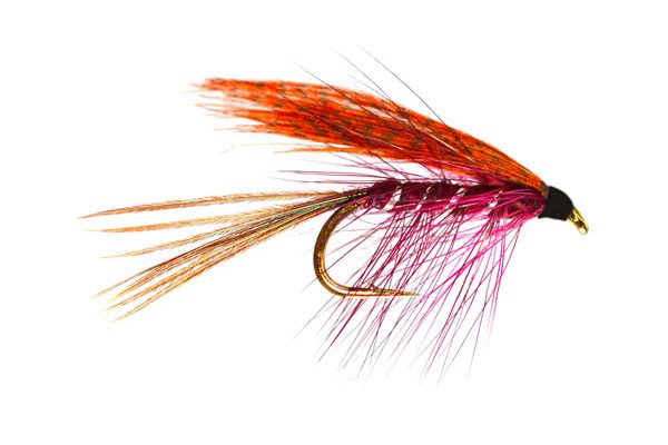 Claret Dabbler Special Wet Fly