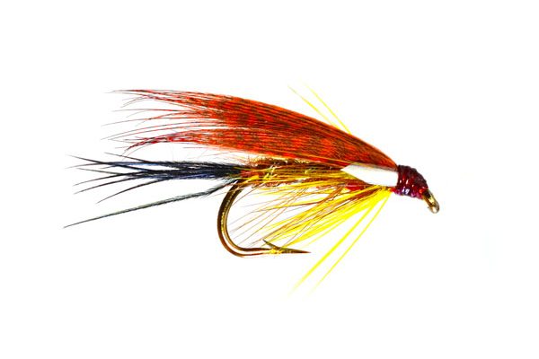 Cock Robin Biot Dabbler Special Wet Fly