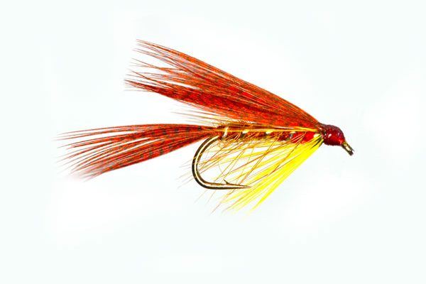 Cock Robin Dabbler Special Wet Fly