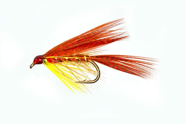 Cock Robin Dabbler Special Wet Fly