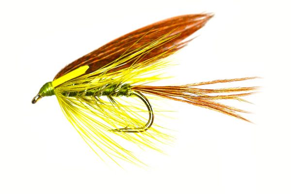 Corrib Biot Olive Dabler