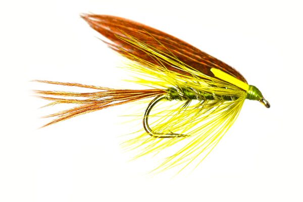 Corrib Biot Olive Dabler