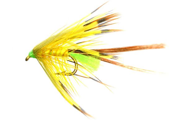 Fluo Tail Yellow Partridge May Fly Special Wet Fly