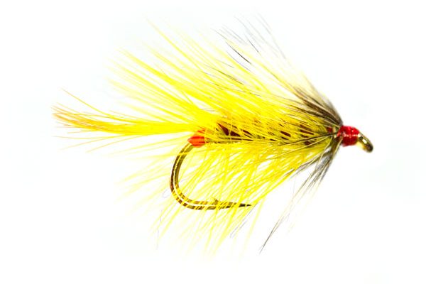 Red Assed Golden Olive Bumble Special Wet Fly