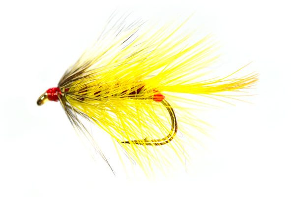 Red Assed Golden Olive Bumble Special Wet Fly