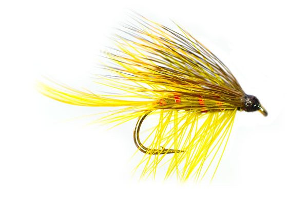 Golden Olive Deer Tail Bumble Special Wet Fly