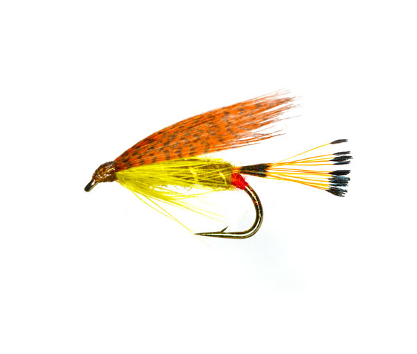 Golden Olive Ireland Special Wet trout fishing flies Uk's biggest fly