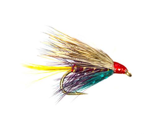 Hair Wing Raymond Special Wet Fly