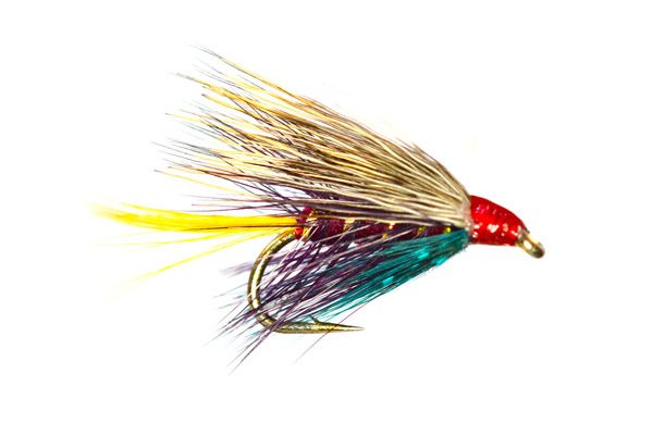 Hair Wing Raymond Special Wet Fly