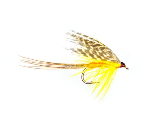 Flies for Caithness loch Brown Trout Fishing, International Dabbler Wet Fishing Fly