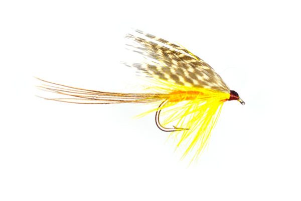 Flies for Caithness loch Brown Trout Fishing, International Dabbler Wet Fishing Fly