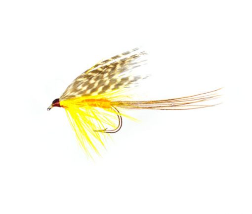 Flies for Caithness loch Brown Trout Fishing, International Dabbler Wet Fishing Fly