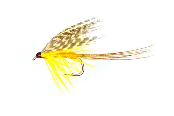 Flies for Caithness loch Brown Trout Fishing, International Dabbler Wet Fishing Fly