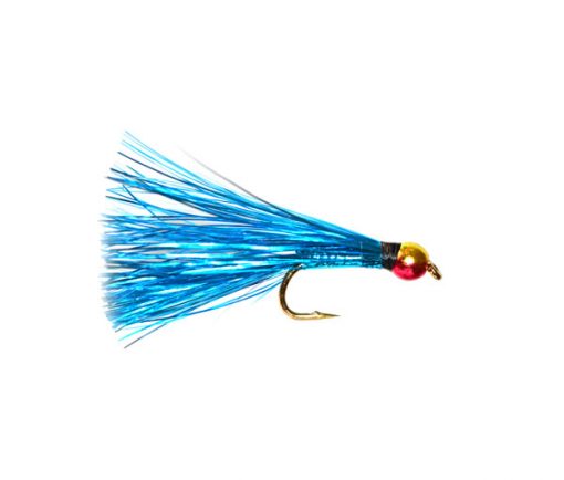 Kingfisher Electric Blue Sparkler Rainbow Head