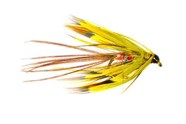 Lough Arrow Variant Special Wet Fly