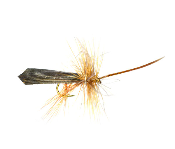 Murrough CDC Sedge Fly Fishing Flies fishing online trout flies