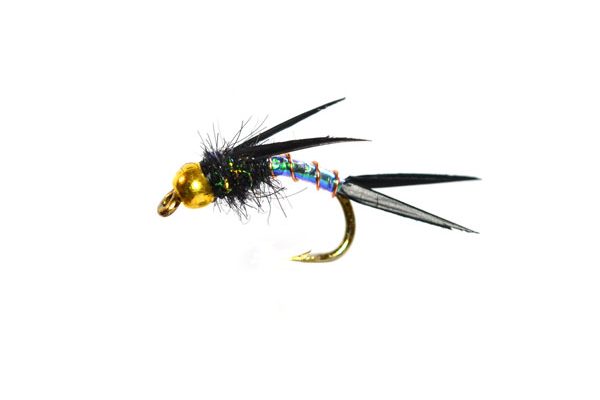 Mylar Prince UV Black Goldhead Nymph