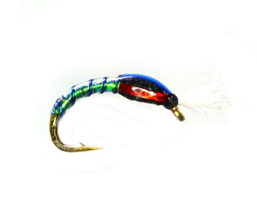 Oil Slick Buzzer Blue Ribbed Killer Trout Fly